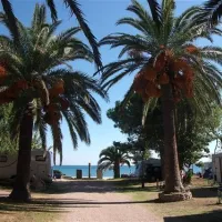 playa-montroig-camping-resort-montroig-del-camp-ivngb