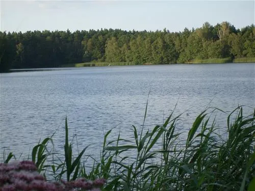 campingtonsee-fkk-bestensee-ikfo4