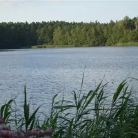 campingtonsee-fkk-bestensee-ikfo4