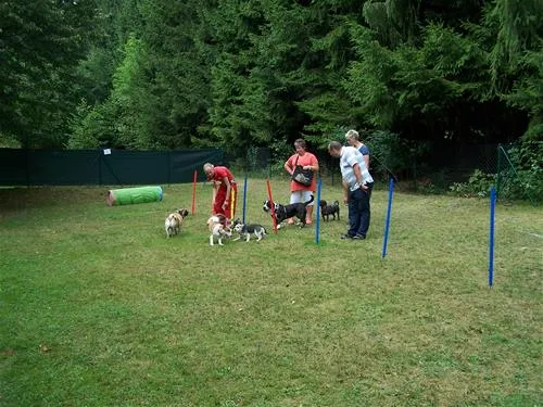 knaus-campingpark-viechtach-viechtach-smspl