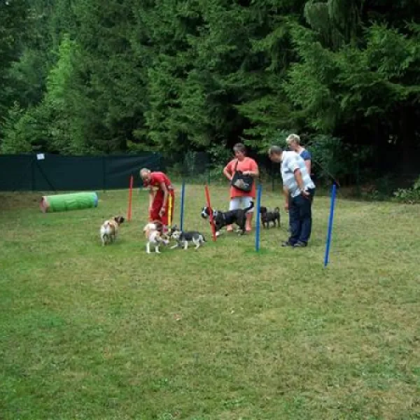 knaus-campingpark-viechtach-viechtach-smspl