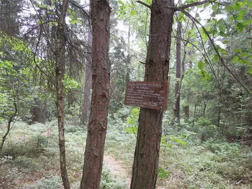 knaus-campingpark-viechtach-viechtach-uzvjt