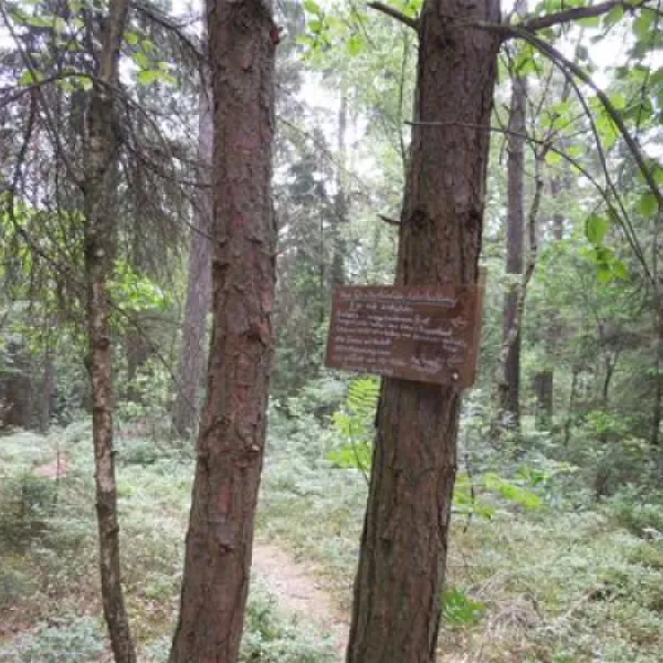 knaus-campingpark-viechtach-viechtach-uzvjt