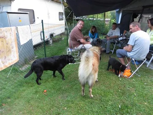 knaus-campingpark-viechtach-viechtach-yxyfq