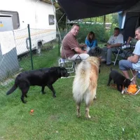 knaus-campingpark-viechtach-viechtach-yxyfq