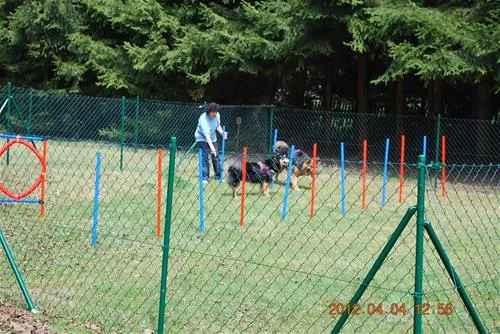 knaus-campingpark-viechtach-viechtach-zertg