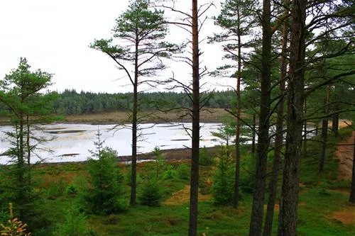 randboldal-camping-randbol-dobbn