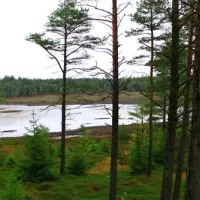 randboldal-camping-randbol-dobbn