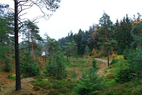 randboldal-camping-randbol-nvoq0