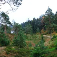 randboldal-camping-randbol-nvoq0