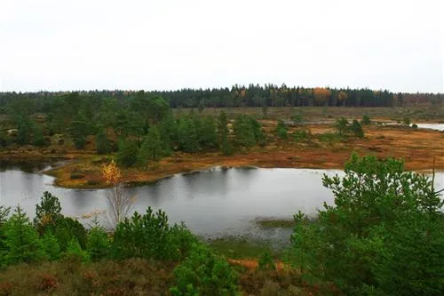 randboldal-camping-randbol-pdngo