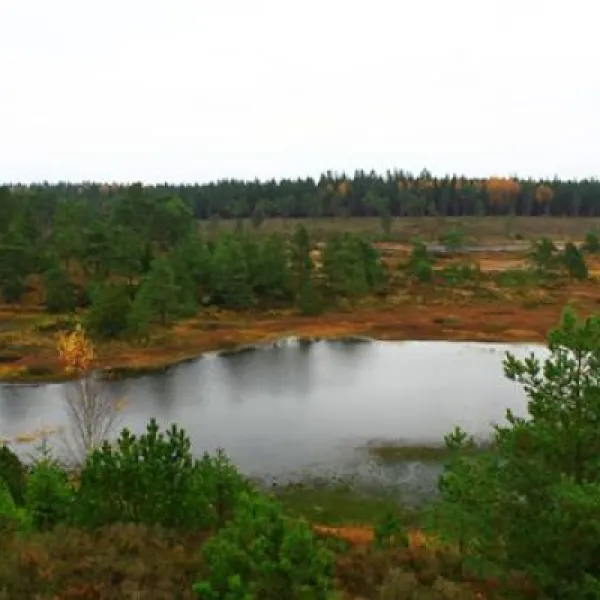 randboldal-camping-randbol-pdngo