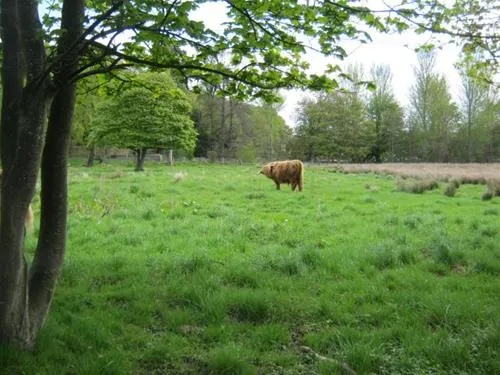 mortonhall-caravan-park-edinburgh-fpoux