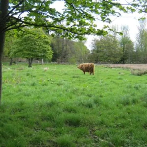 mortonhall-caravan-park-edinburgh-fpoux