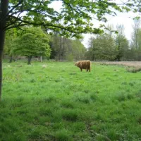 mortonhall-caravan-park-edinburgh-fpoux
