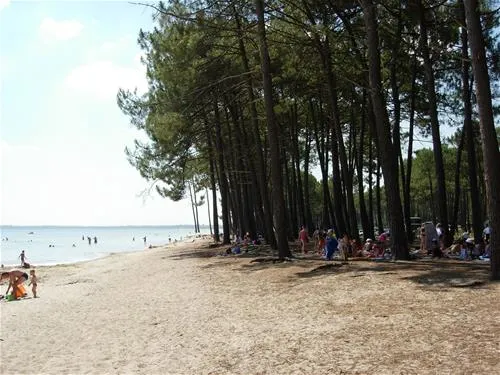 camping-langeot-sanguinet-xp497