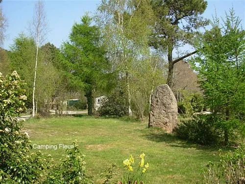 camping-le-fleuri-trgunc-7j56m