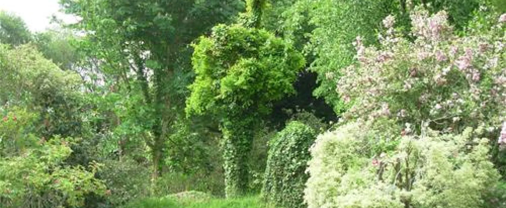 Camping Le Fleuri