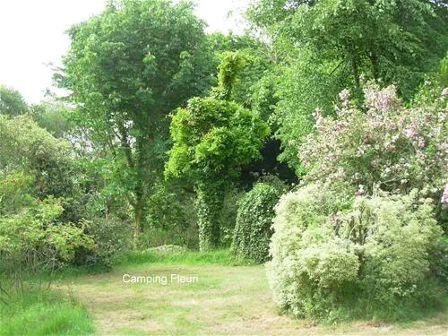 camping-le-fleuri-trgunc-9bd1e
