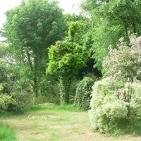 camping-le-fleuri-trgunc-9bd1e
