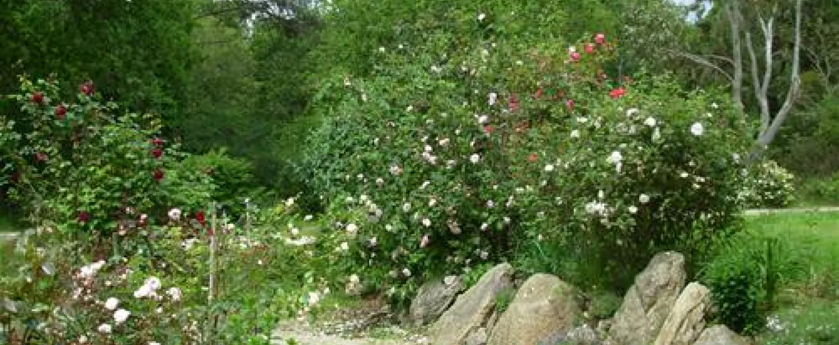 Camping Le Fleuri