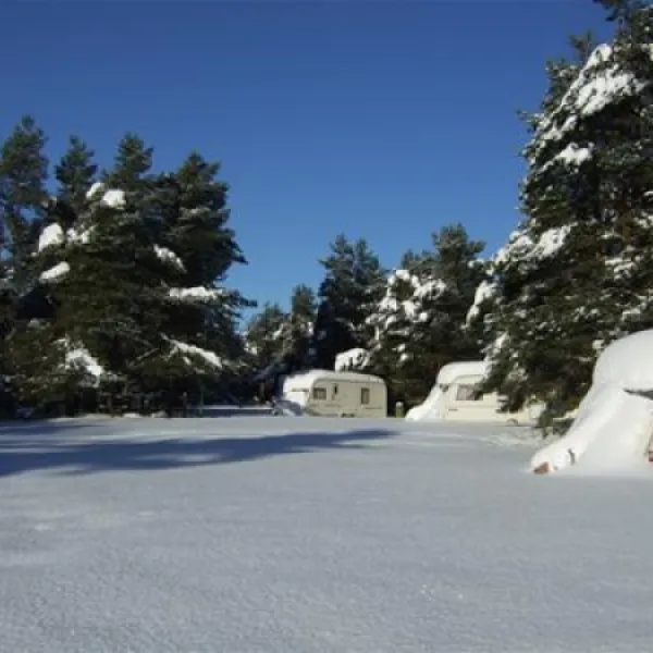 ladycross-plantation-caravan-park-whitby-2c8kb