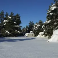 ladycross-plantation-caravan-park-whitby-2c8kb