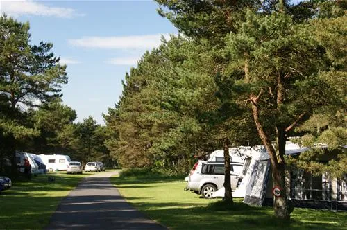 ladycross-plantation-caravan-park-whitby-a3bjz
