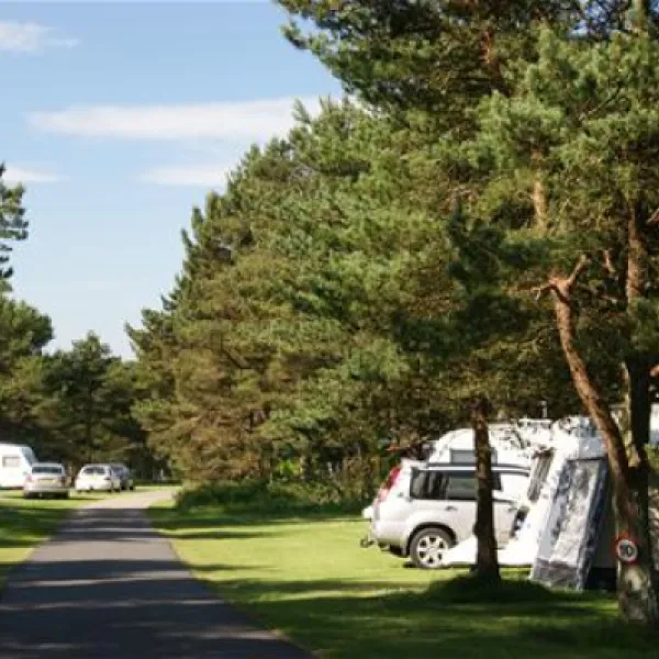 ladycross-plantation-caravan-park-whitby-a3bjz