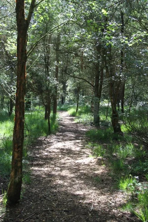 ladycross-plantation-caravan-park-whitby-bj6yw