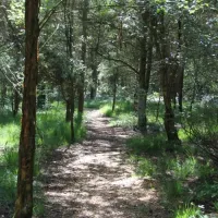ladycross-plantation-caravan-park-whitby-bj6yw