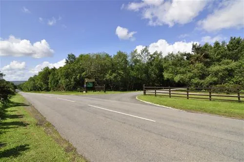 ladycross-plantation-caravan-park-whitby-cv55d