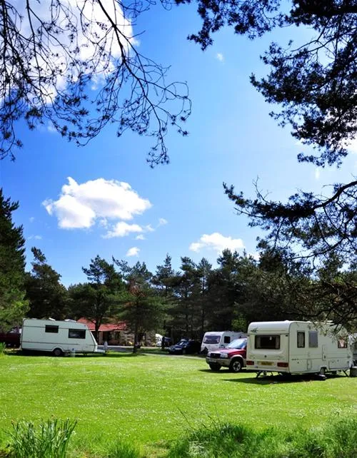 ladycross-plantation-caravan-park-whitby-duprv