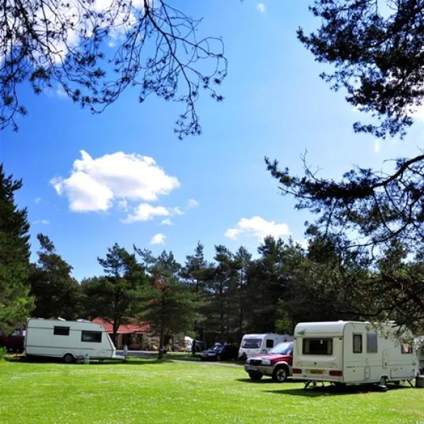 ladycross-plantation-caravan-park-whitby-duprv