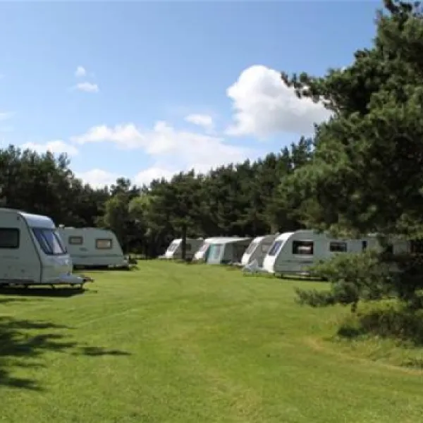 ladycross-plantation-caravan-park-whitby-gvlrw
