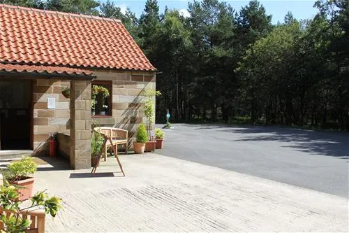 ladycross-plantation-caravan-park-whitby-hfimv