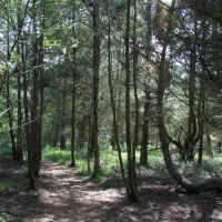 ladycross-plantation-caravan-park-whitby-lvahn