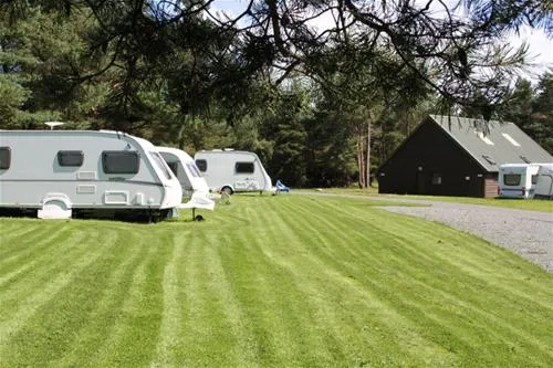 ladycross-plantation-caravan-park-whitby-mrwex