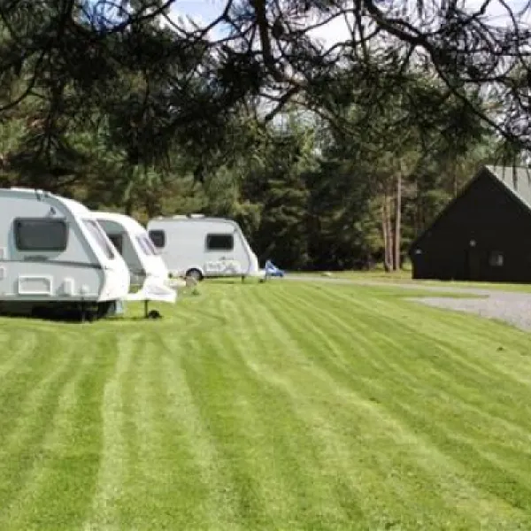 ladycross-plantation-caravan-park-whitby-mrwex