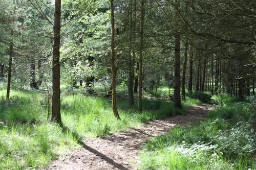 ladycross-plantation-caravan-park-whitby-v50hl