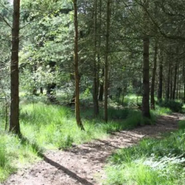 ladycross-plantation-caravan-park-whitby-v50hl