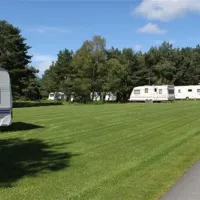 ladycross-plantation-caravan-park-whitby-zeujd