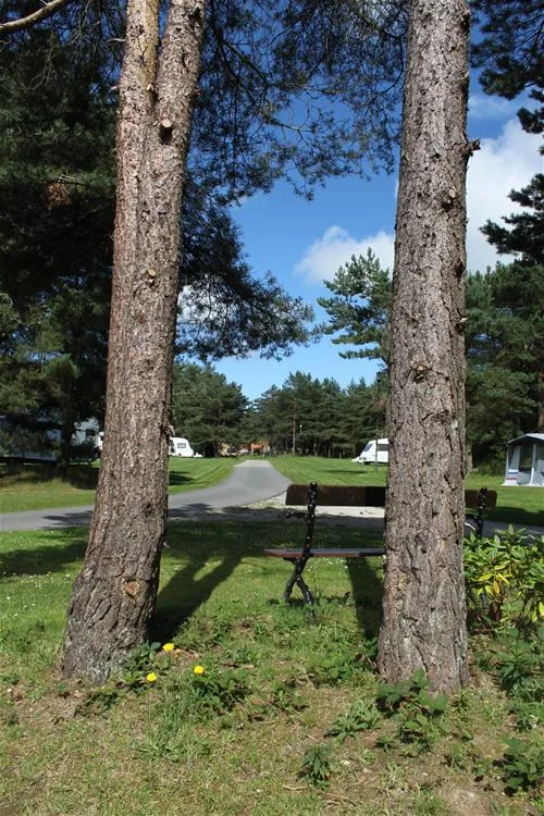 ladycross-plantation-caravan-park-whitby-zm6te