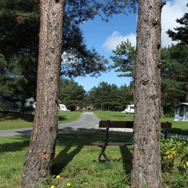 ladycross-plantation-caravan-park-whitby-zm6te