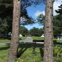 ladycross-plantation-caravan-park-whitby-zm6te