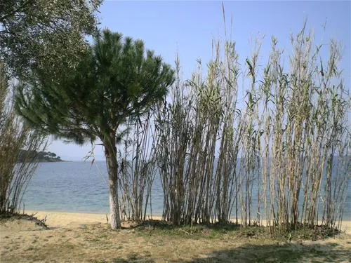campsite-stavros-neos-marmaras-8i69x