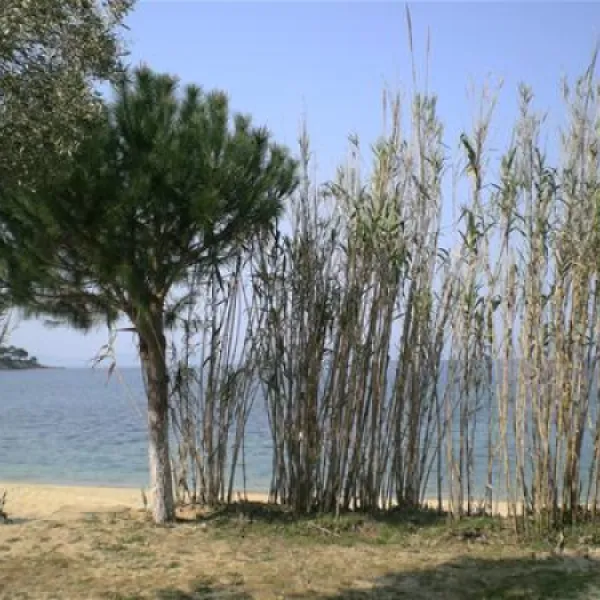 campsite-stavros-neos-marmaras-8i69x