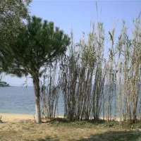 campsite-stavros-neos-marmaras-8i69x