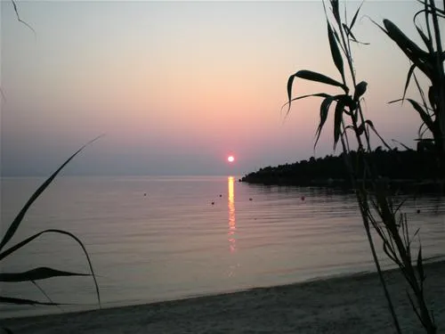 campsite-stavros-neos-marmaras-a4vp3