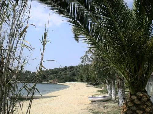 campsite-stavros-neos-marmaras-i8xso